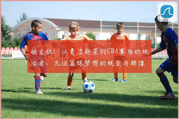 胡金秋：从青涩新星到CBA赛场的统治者，见证篮球梦想的蜕变与辉煌