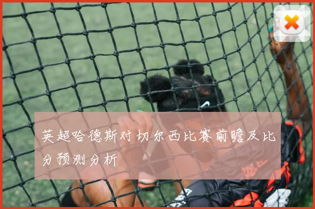 英超哈德斯对切尔西比赛前瞻及比分预测分析