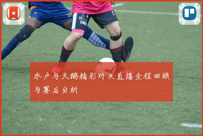 水户与天鹅精彩对决直播全程回顾与赛后分析