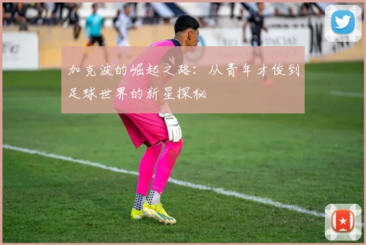 加克波的崛起之路：从青年才俊到足球世界的新星探秘